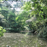 The grounds at the Tokyo Institute for Nature Study