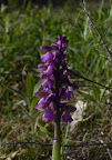 P1090003.JPG