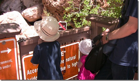 IMG_3895 IMG_3895