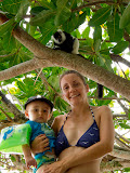 This lemur wants to know what's going on with Lora and Matimu... but Matimu didn't seem to care too much with the lemur so far away. Madagascar6 - 025.jpg