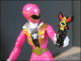 Gokai Pink (43)