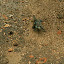 There were a couple of very fast Salamander tootling around the place...
