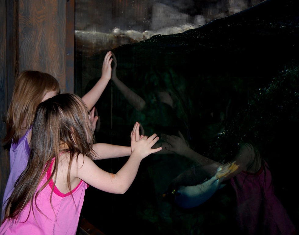 [aliandsadi08012011-36.jpg]
