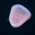P7215708