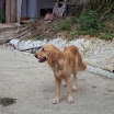 hiking_28.jpg