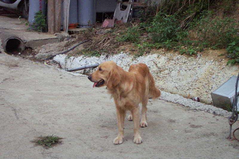 hiking_28.jpg