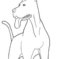 perro.png.jpg