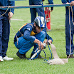 DSC_0178.jpg