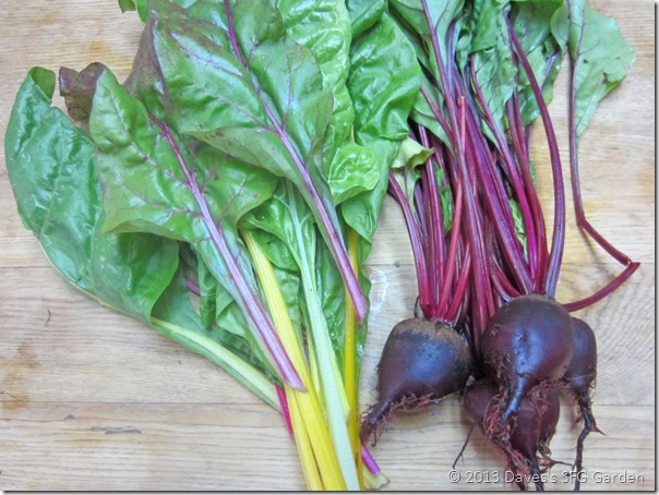 chard&beets