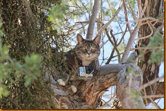 IMG_6555 IMG_6555