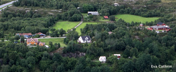 IMG 0139