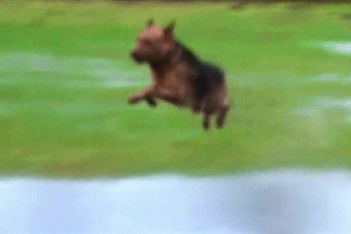 [20141222152752-%25283%2529%255B4%255D.jpg]