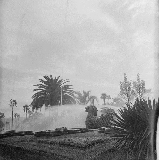 clip_image018 clip_image018