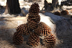 A pine cone Inukshuk