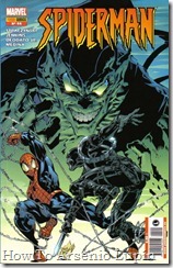 P00015 - 15 - Spectacular Spider-Man #20