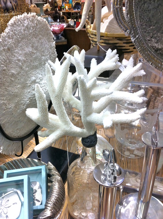 [coral%255B4%255D.jpg]