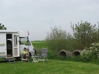 IMG_7862 IMG_7862