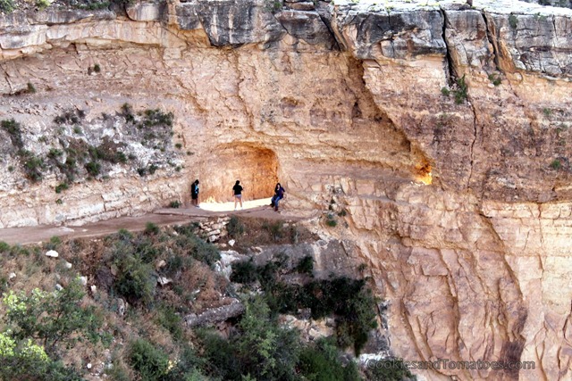 [GrandCanyon-6%255B4%255D.jpg]