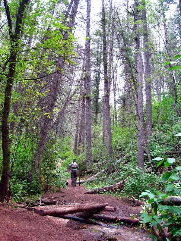 Taylor hiking the Bowman Fork Trail in Millcreek Canyon stream in Millcreek Canyon Utah