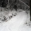 SDC10682.jpg