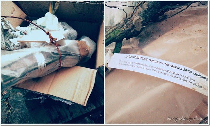 Cadeau de Noel Cadeau de Noel