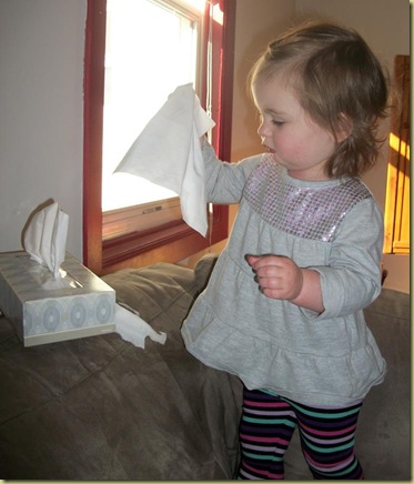 Cassidy's tissue party