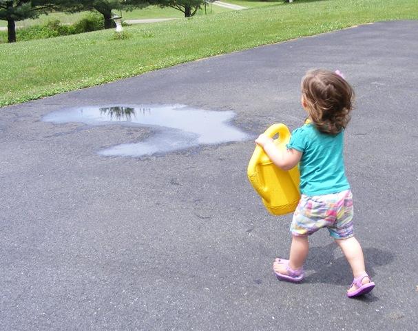 [DSCF1038%255B4%255D.jpg]