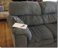 lumpy loveseat