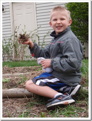 How to Build an American Early Settler Wattle & Daub House for Homeschool Kids How to Build an American Early Settler Wattle & Daub House for Homeschool Kids