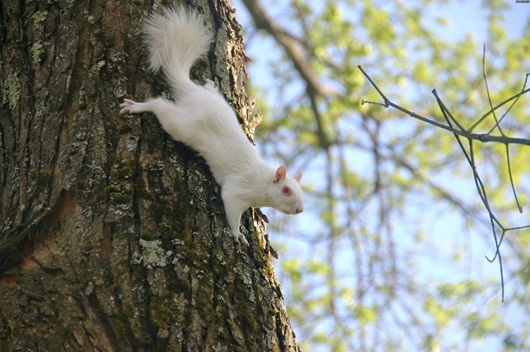 [clip_image006%255B3%255D.jpg]