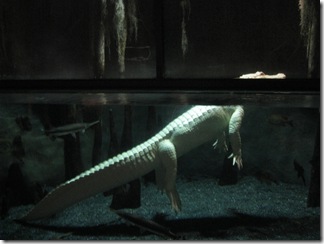IMG_5341 IMG_5341