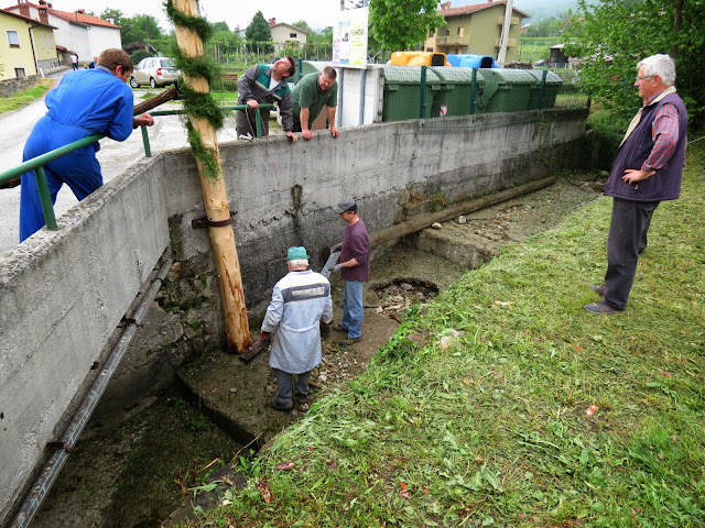 2014-Mlaj-in-kresovanje-41.JPG