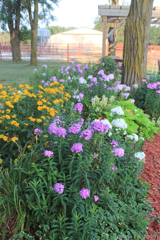 [flowers7%255B6%255D.jpg]