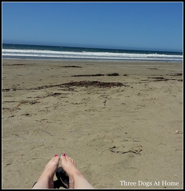 [beach%2520blog1.jpg]