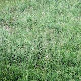 IMG_2557.JPG