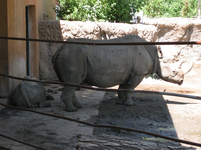 [IMG_72583.jpg]