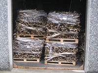 IMG_5887 IMG_5887