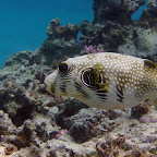 IMG_9769.JPG