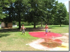 IMG_7499 IMG_7499