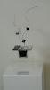 2012 Bwg birthday - IMG_4259.JPG