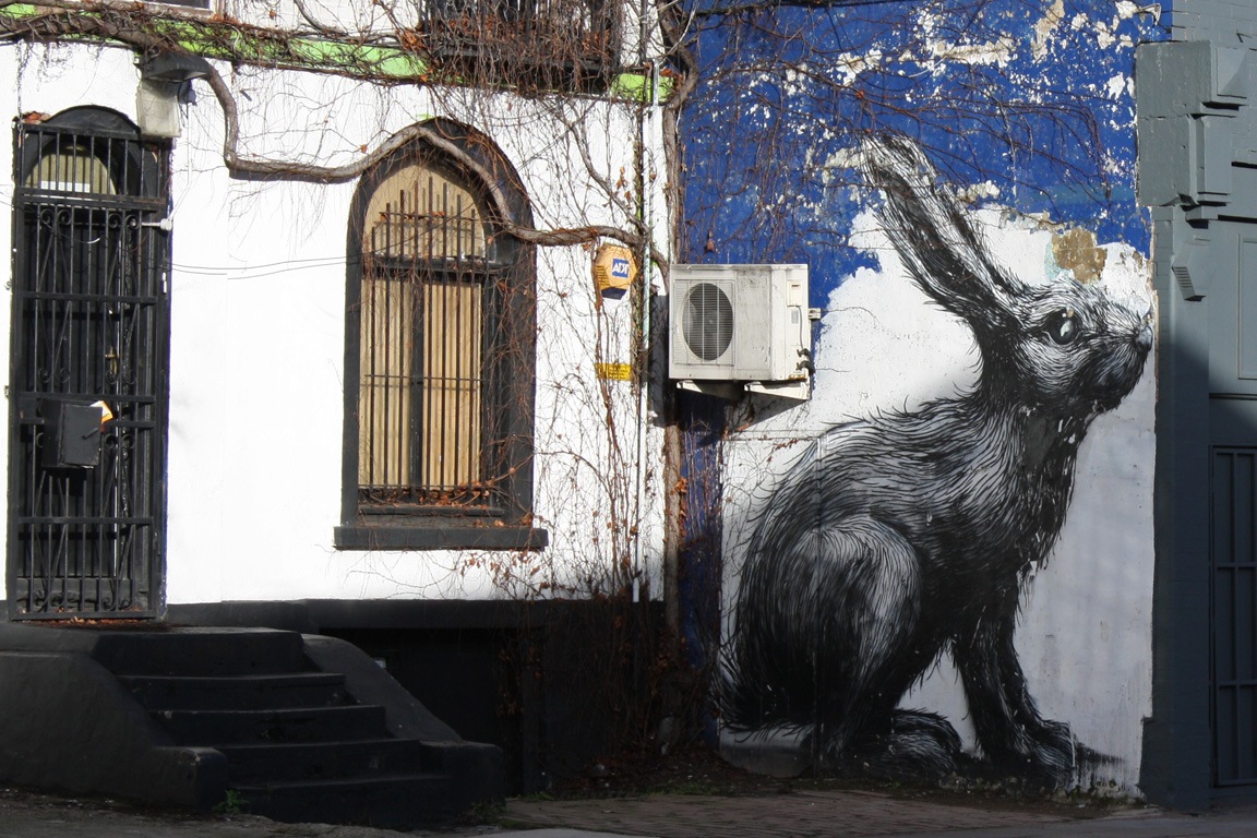 [Roa%2527s%2520Hare%255B3%255D.jpg]