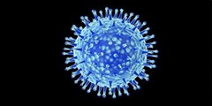 Virus Virus