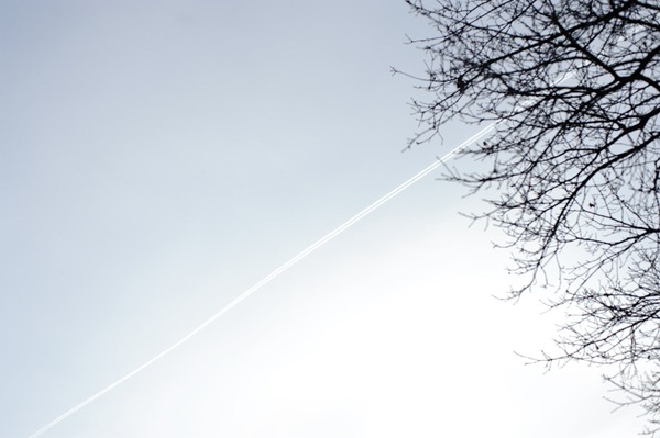 [DSC_7263%255B2%255D.jpg]