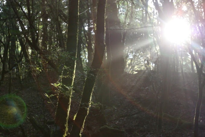 2014_1005_062210 2014_1005_062210