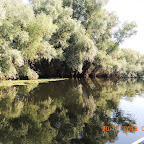 DSCN4512.JPG