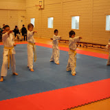IMG_6231.jpg