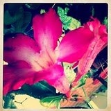 Spotting Image 1