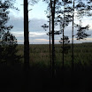IMG503.jpg