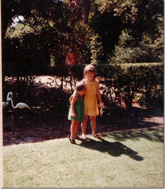 Back yard 1982 Back yard 1982