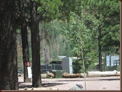 IMG_3909 IMG_3909